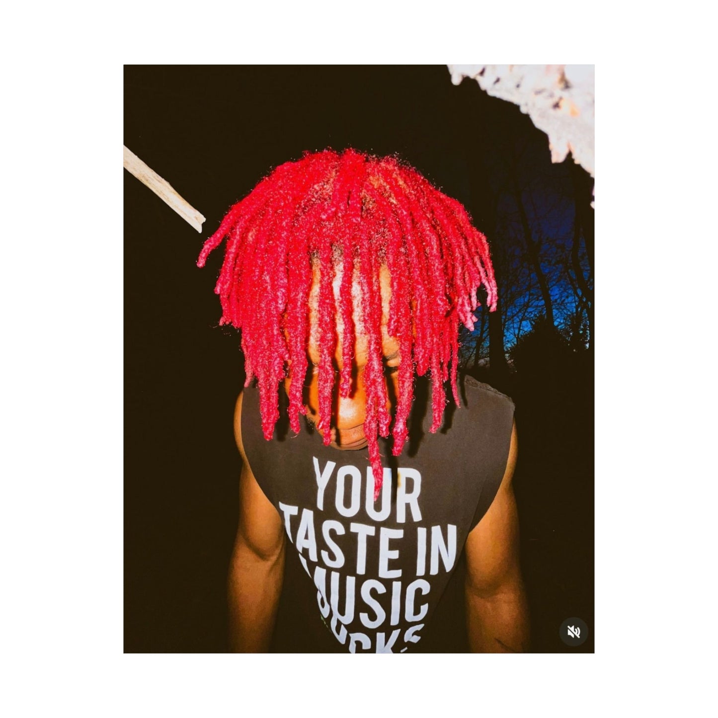 YOUR TASTE IN MUSIC SUCKS POSTER