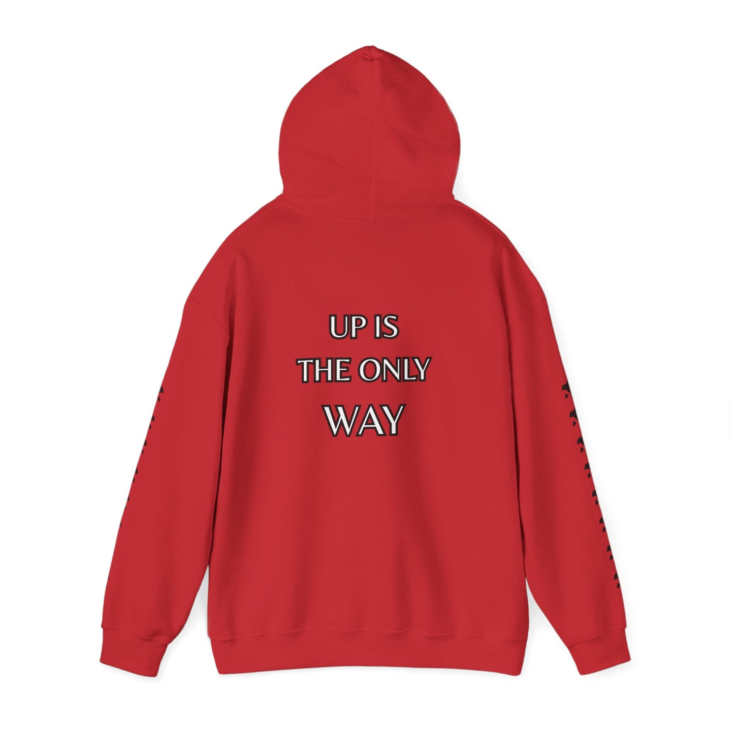 UP UP AND AWAY HOODIE